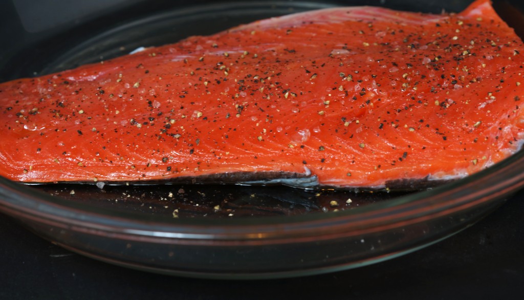 SalmonE01