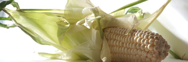 Sopa de Elote – Corn Soup